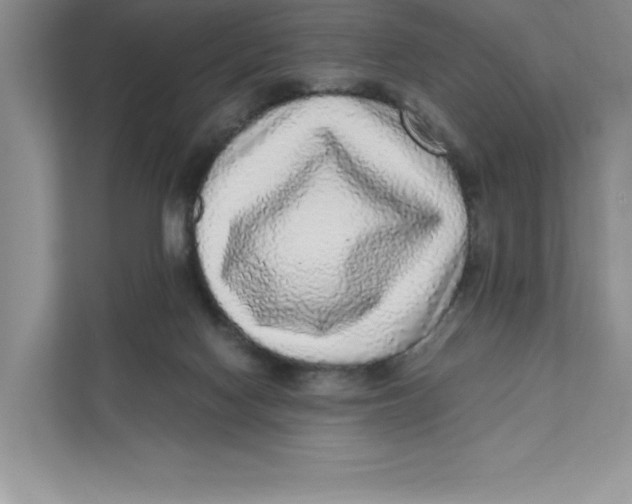 X0000110870074200907091410