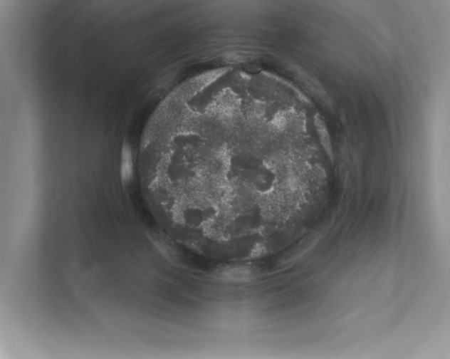 X0000110870075200907091410