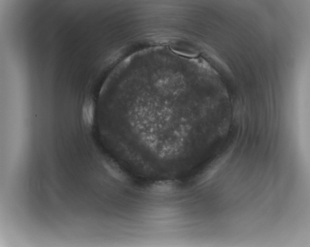 X0000110870076200907091410