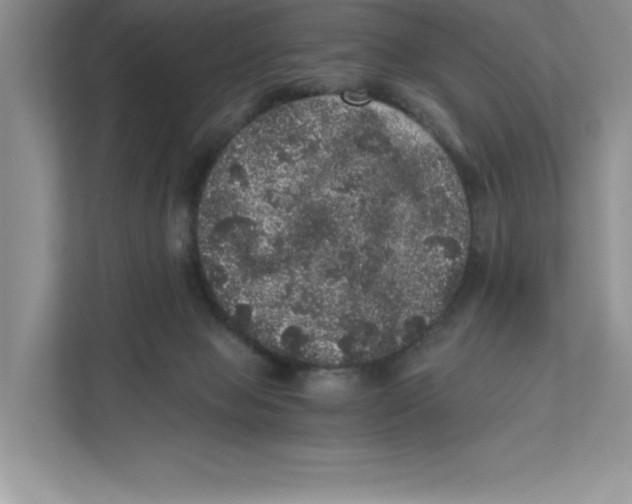 X0000110870077200907091410