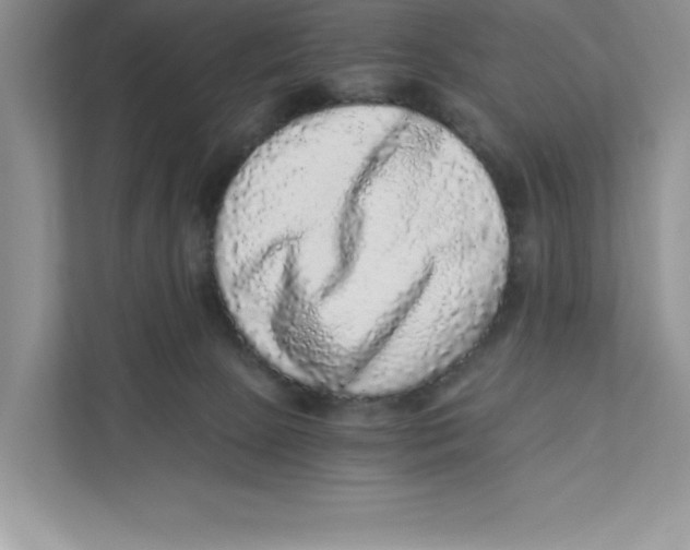 X0000110870081200907091410