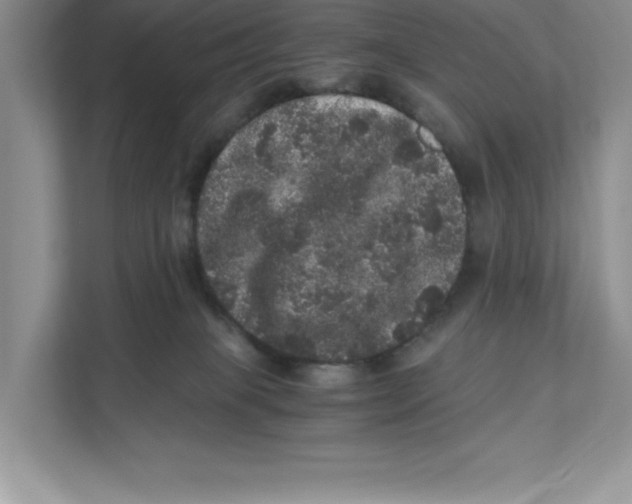 X0000110870085200907091410