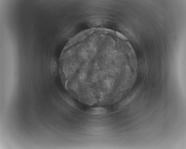 X0000110870087200907091410