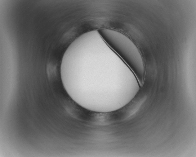 X0000110870088200907091410