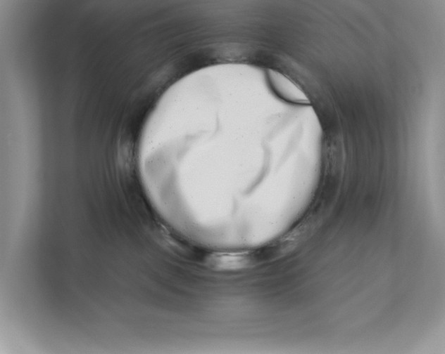 X0000110870093200907091410