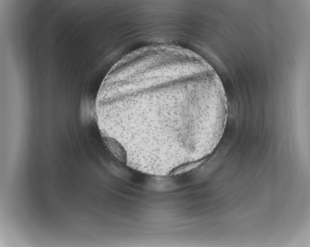 X0000110870095200907091410