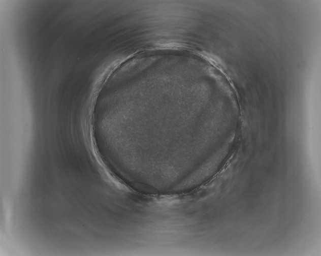 X0000110870097200907091409