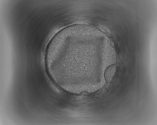 X0000110870098200907091409