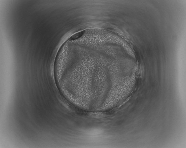 X0000110870099200907091409