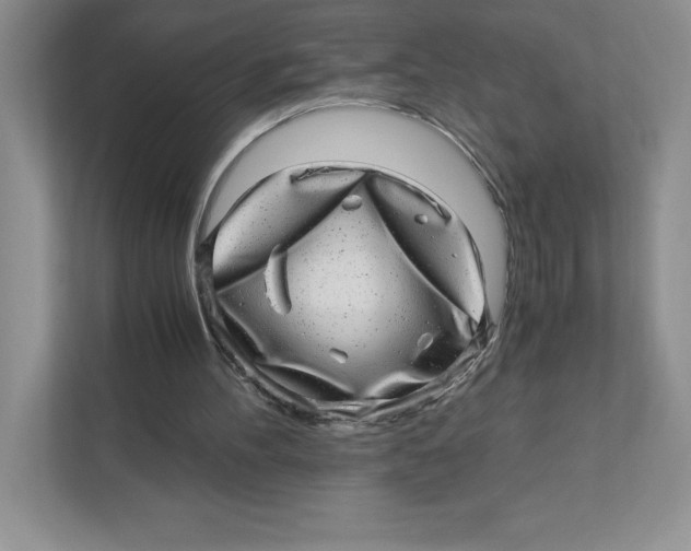 X0000110870100200907091409