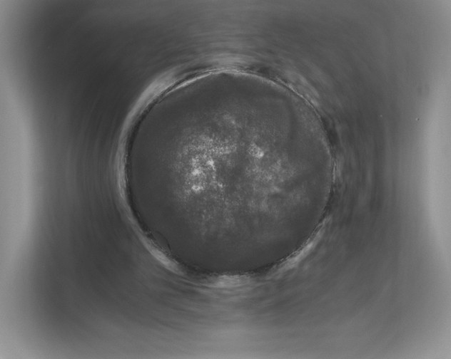 X0000110870101200907091409