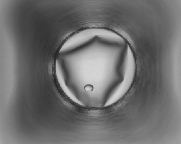 X0000110870105200907091409