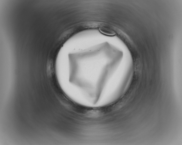 X0000110870119200907091409