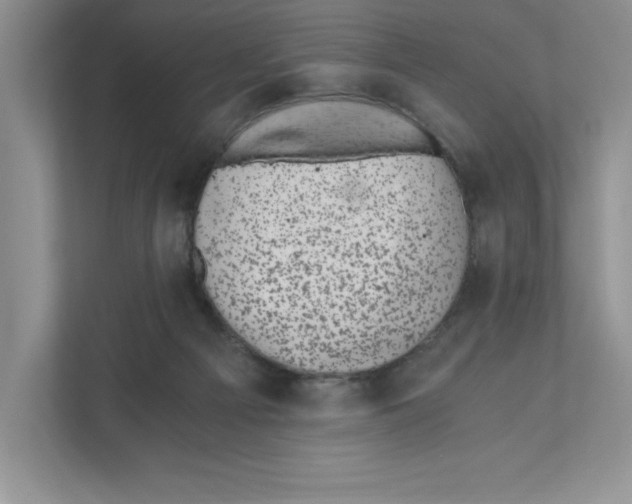 X0000110870121200907091409