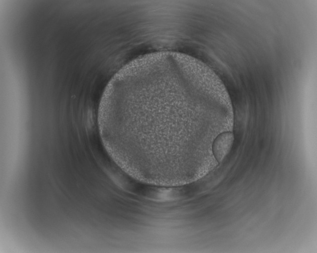 X0000110870130200907091409