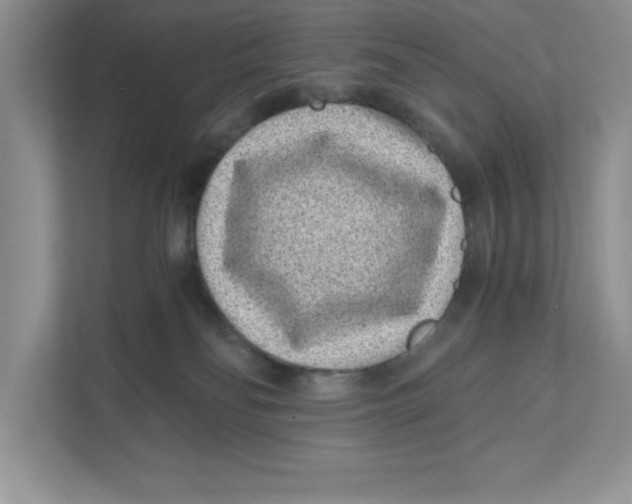 X0000110870134200907091409