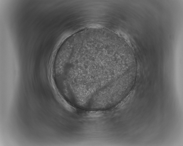 X0000110870145200907091408