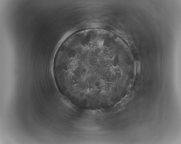 X0000110870147200907091408