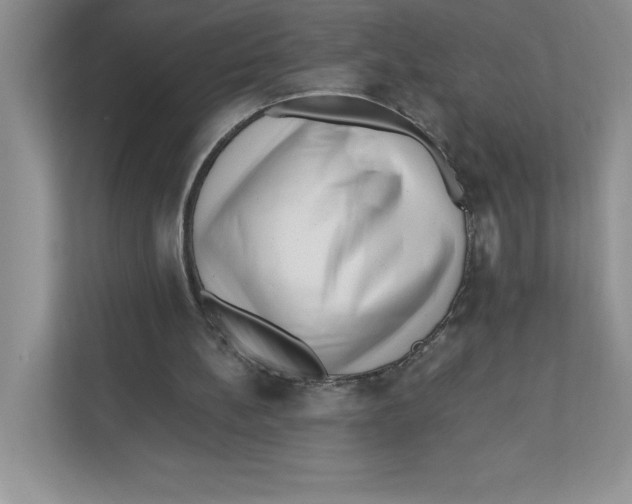 X0000110870148200907091408