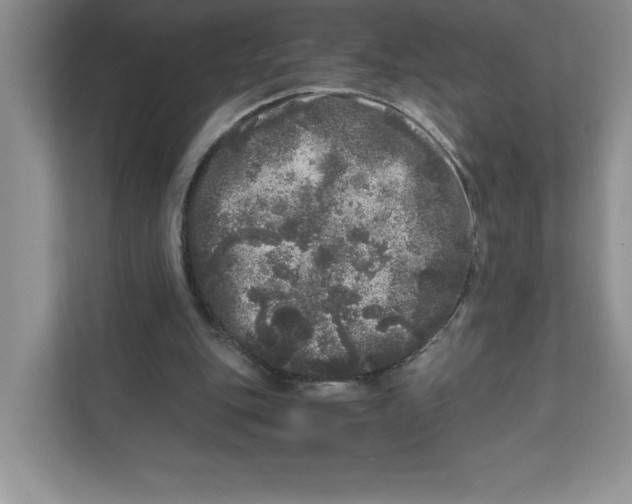 X0000110870151200907091408