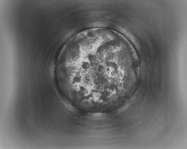 X0000110870153200907091408