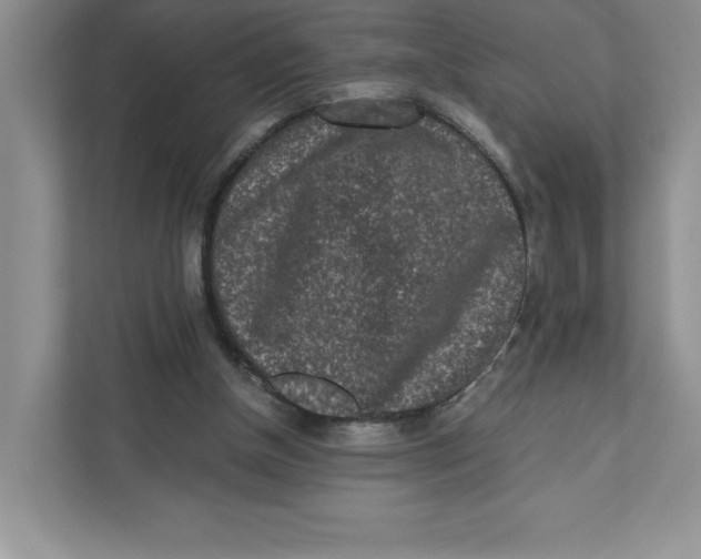 X0000110870154200907091408