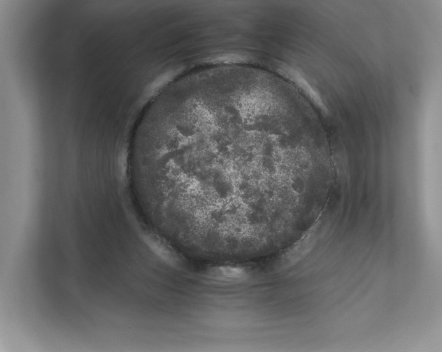 X0000110870159200907091408