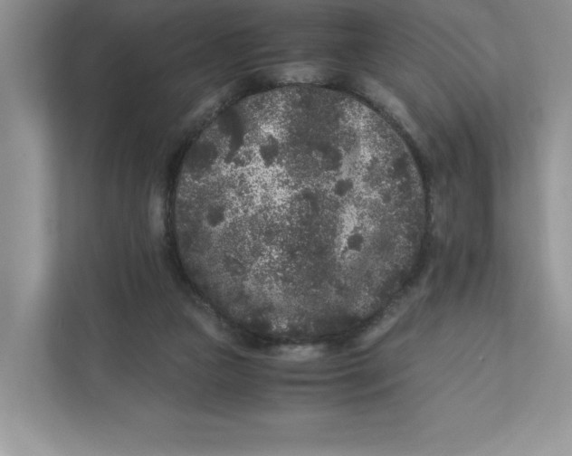 X0000110870161200907091408