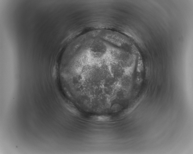 X0000110870165200907091408