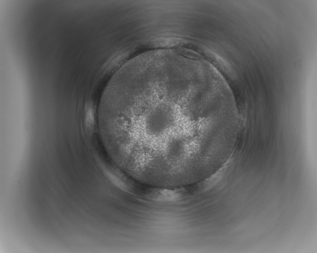 X0000110870166200907091408