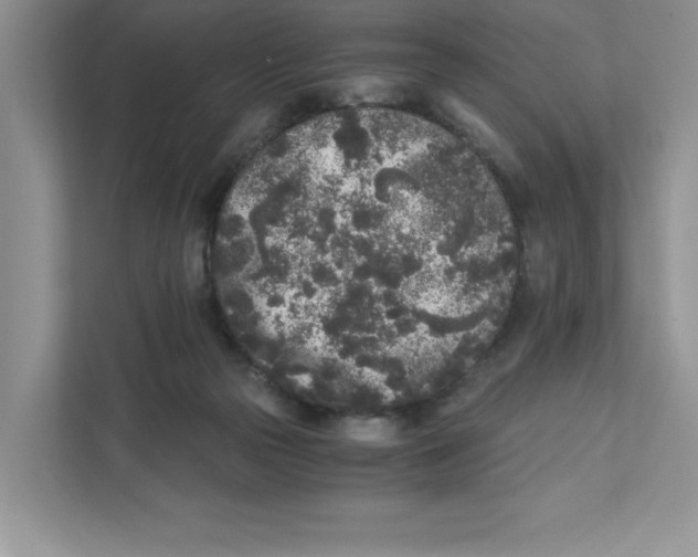 X0000110870169200907091408