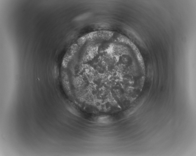 X0000110870173200907091408