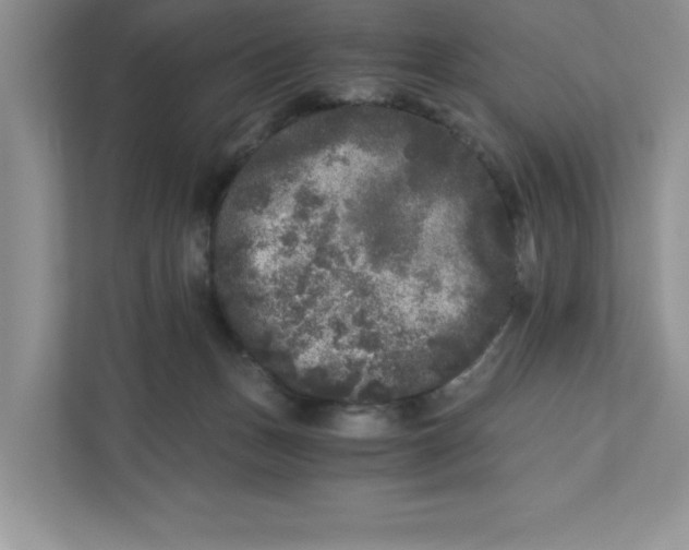 X0000110870175200907091408