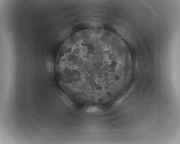 X0000110870177200907091408