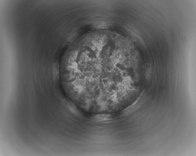 X0000110870179200907091408