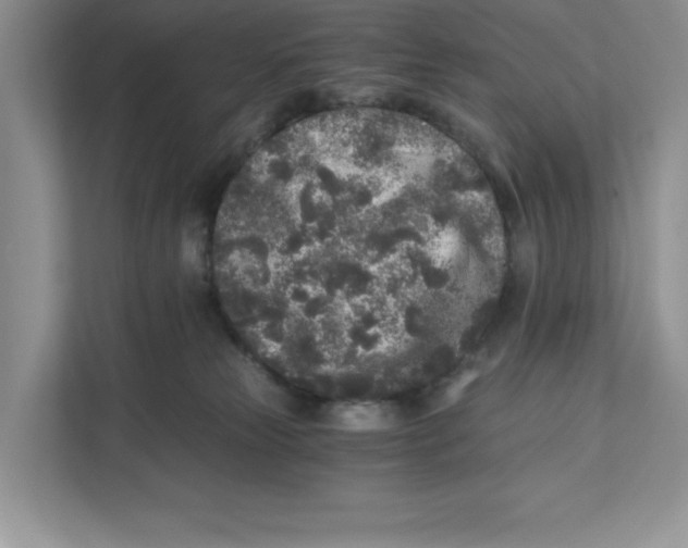 X0000110870181200907091408