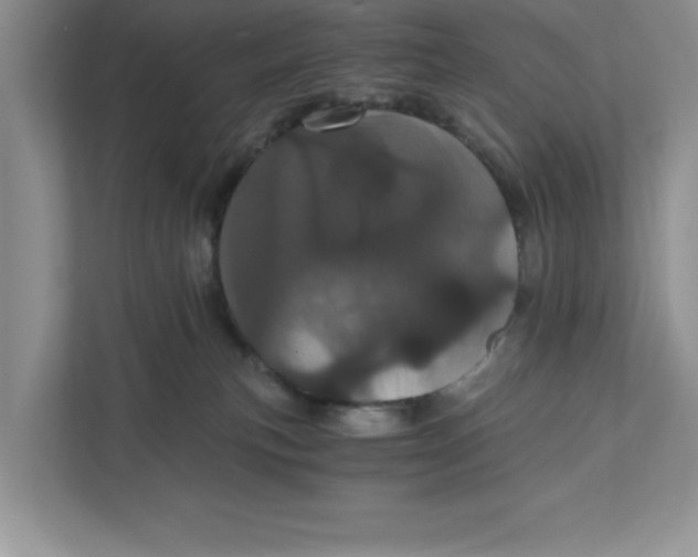 X0000110870183200907091408