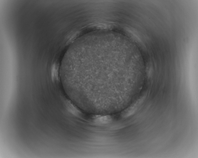 X0000110870185200907091409