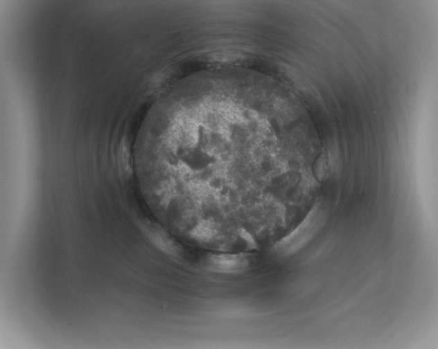 X0000110870187200907091409