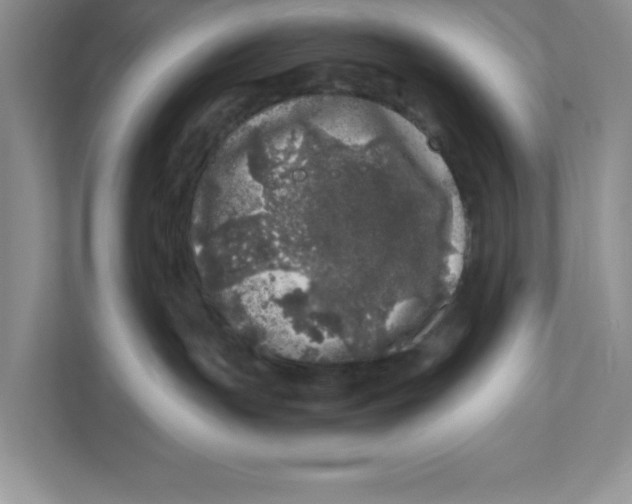 X0000110870191200907091409