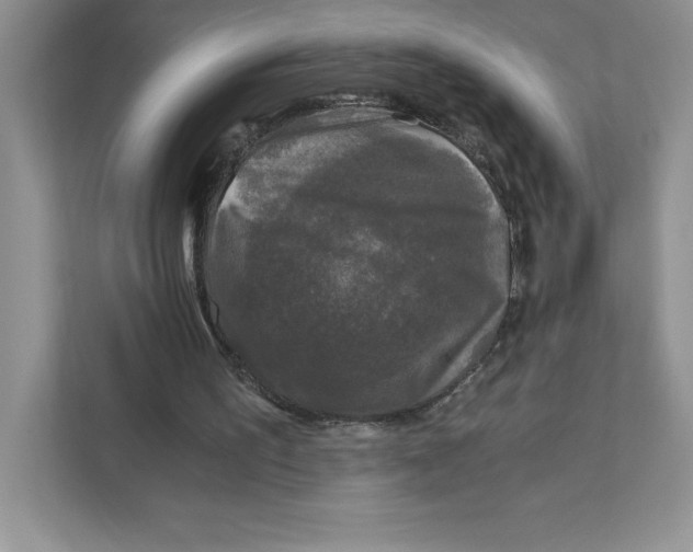 X0000110870195200907091408