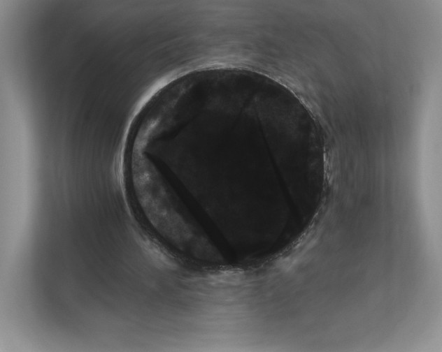 X0000110870196200907091408