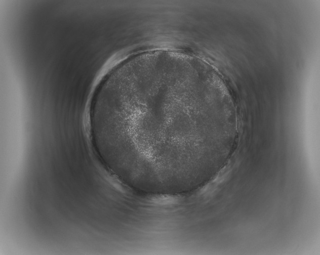 X0000110870198200907091408