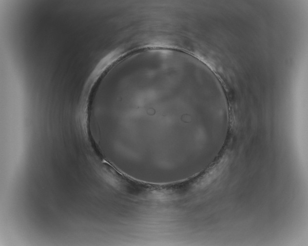 X0000110870199200907091408