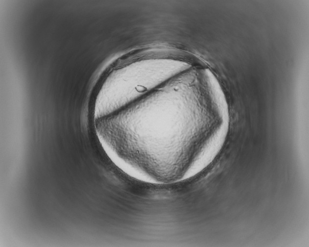 X0000110870200200907091408