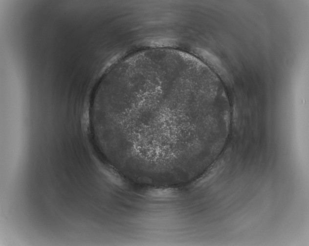 X0000110870202200907091408