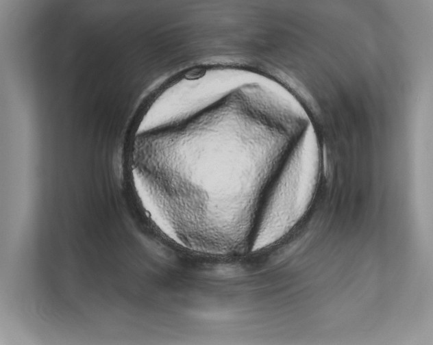 X0000110870204200907091408