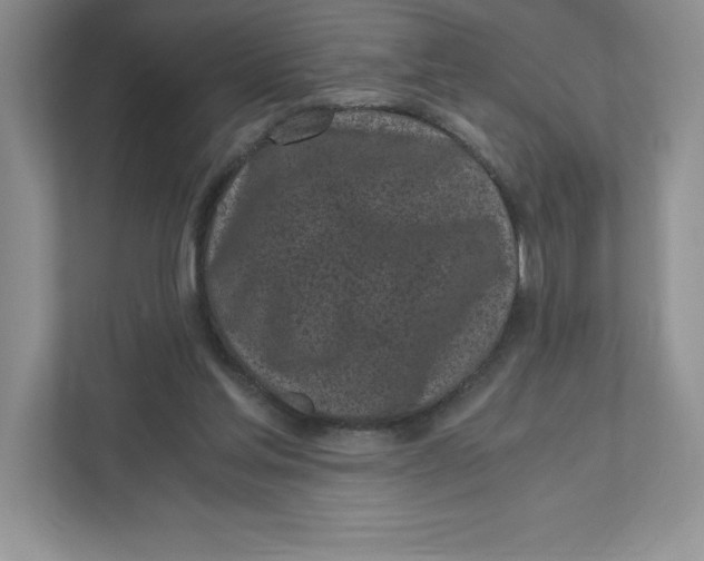 X0000110870205200907091408