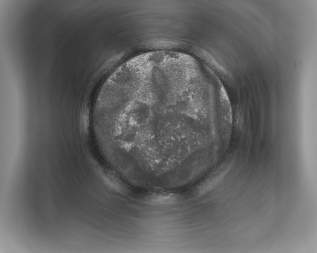 X0000110870206200907091408