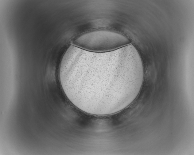 X0000110870209200907091408